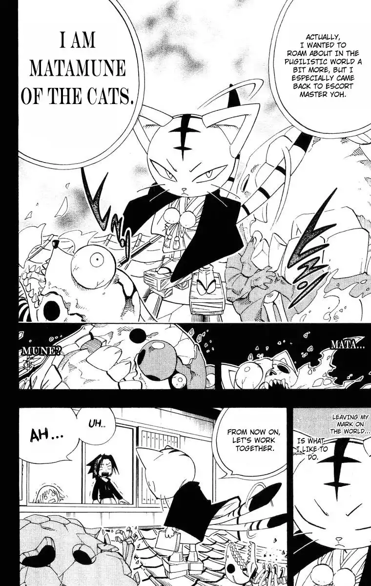 Shaman King Chapter 163 14